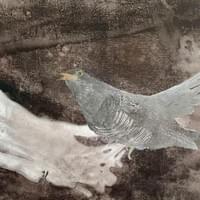 Muistamisesta VI, 40x70, puupiirros ja monotypia 2023 Muistamisesta VI, 40x70, puupiirros ja monotypia 2023