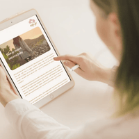 downloads en meer downloads en meer