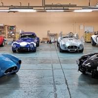 Nid de AC Cobra Nid de AC Cobra