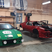 Nid de Pantera Nid de Pantera