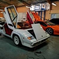 Nid De Lamborghini Nid De Lamborghini