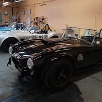 Nid de Cobra Nid de Cobra