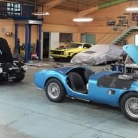 Nid de AC Cobra Nid de AC Cobra