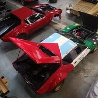 Nid de Pantera Nid de Pantera