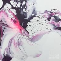 Butterfly Emerging Butterfly Emerging