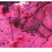 Interlude | Detail | Acrylic on Canvas Interlude | Detail | Acrylic on Canvas