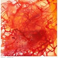 Meander Down | 12" x 12" | Acrylic on Canvas Meander Down | 12" x 12" | Acrylic on Canvas