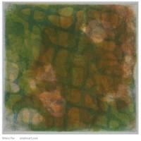 Green Salmon Ghost Net | 6 " x  5.875" | Intaglio Print Green Salmon Ghost Net | 6 " x  5.875" | Intaglio Print