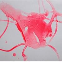 Dart Dance | 11 " x 1 4" | Gouache on Yupo Dart Dance | 11 " x 1 4" | Gouache on Yupo