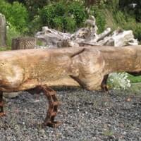 "Gator" Driftwood Bench | 2' x 7' | S O L D "Gator" Driftwood Bench | 2' x 7' | S O L D