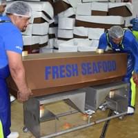 Fresh H&G 4 Fresh H&G 4