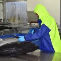 Fresh H&G 3b Fresh H&G 3b