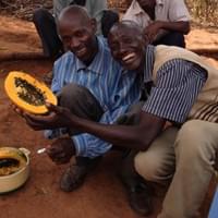 Papaya-frukten er full av frø og smaker godt når den er helt fersk. Man kan bli ganske mett av å spise en halv papaya!