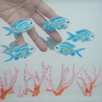 Blue chromes and Spiny coral Blue chromes and Spiny coral