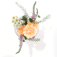 盲盒花系列: 冰滴花壺 盲盒花系列: 冰滴花壺