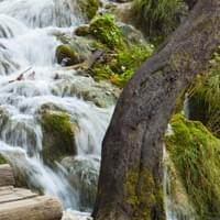 Waterfall 1 Waterfall 1