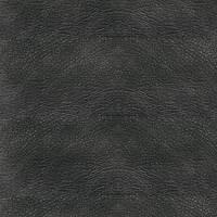 Cuir noir Cuir noir