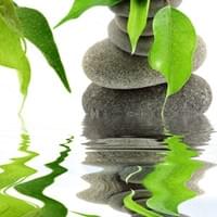 Zen 1 Zen 1