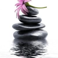 Zen 2 Zen 2