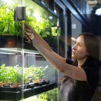 Family farming cooling Family farming cooling