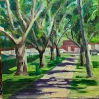 Sonoma Square Path Sonoma Square Path