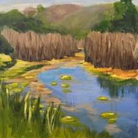 Schollenberger Marsh Schollenberger Marsh