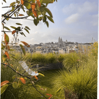 Terrasse végétalisée à Montmartre – une composition élégante entre architecture parisienne et nature urbaine