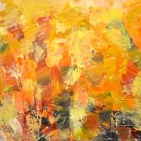 DISORIENTATION DISORIENTATION