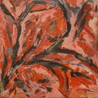 Directions Directions