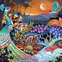 Peacock Dream Peacock Dream