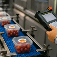 gmp in food industry key principles visualization gmp in food industry key principles visualization
