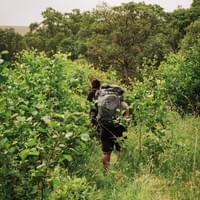 The hike to Pine Island...