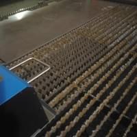 Hi, slags, don't challege our powerful Slat Cleaner