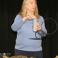 Susan Cano Susan Cano