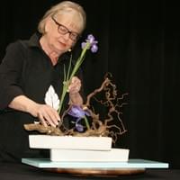 Linda Urell Linda Urell