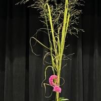 Completed Shoka Shimputai Completed Shoka Shimputai