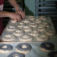 Seeding the Bagels Seeding the Bagels