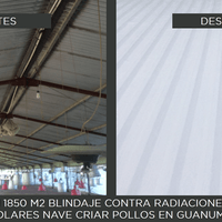 NAVE CRIANZA DE POLLOS EN GUANUMA NAVE CRIANZA DE POLLOS EN GUANUMA
