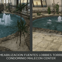 MALECON CENTER MALECON CENTER