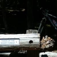 Whistler Lower Trails Whistler Lower Trails