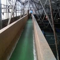 Rays Cleveland Rays Cleveland