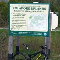 Kolapore 2017 Kolapore 2017