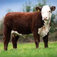 Moorside 1 Julia 4th Moorside 1 Julia 4th