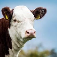 Moorside 1 Julia 4th Moorside 1 Julia 4th