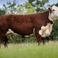 Moorside 1 Jane 5th.