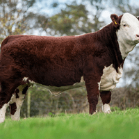 Moorside 1 Jane Moorside 1 Jane