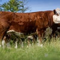 Moorside 1 Jane 15th.