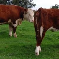 Jane 3rd. with Jane 9th. at foot Jane 3rd. with Jane 9th. at foot