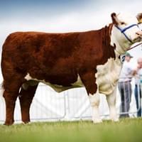 Moorside 1 Jane 8th. Moorside 1 Jane 8th.