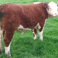 Moorside 1 Jane 3rd  Moorside 1 Jane 3rd